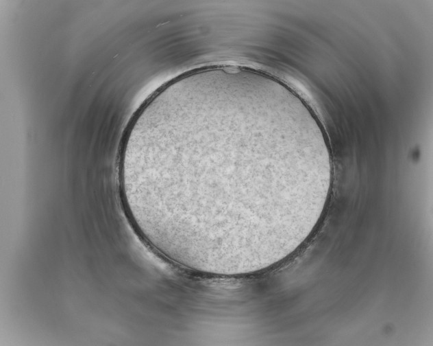 X0000089861141200707262122