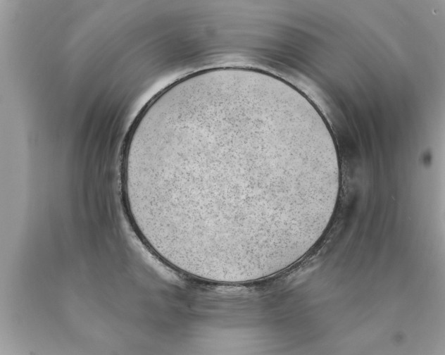 X0000089861142200707262122