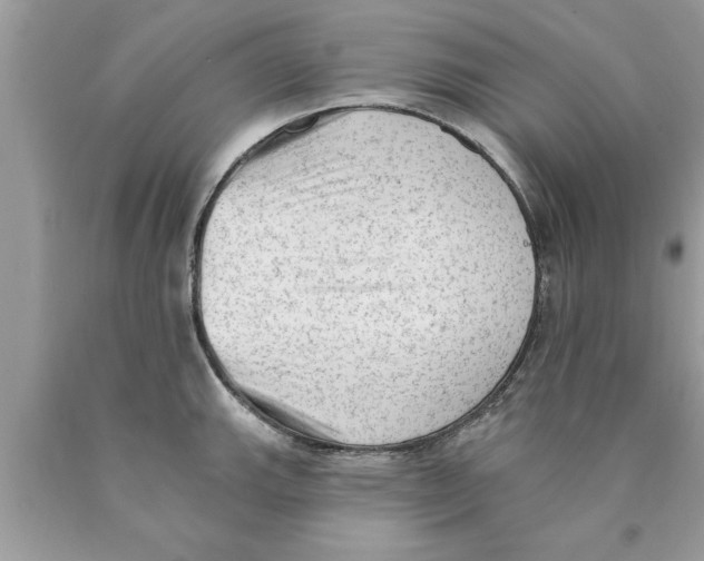 X0000089861143200707262122