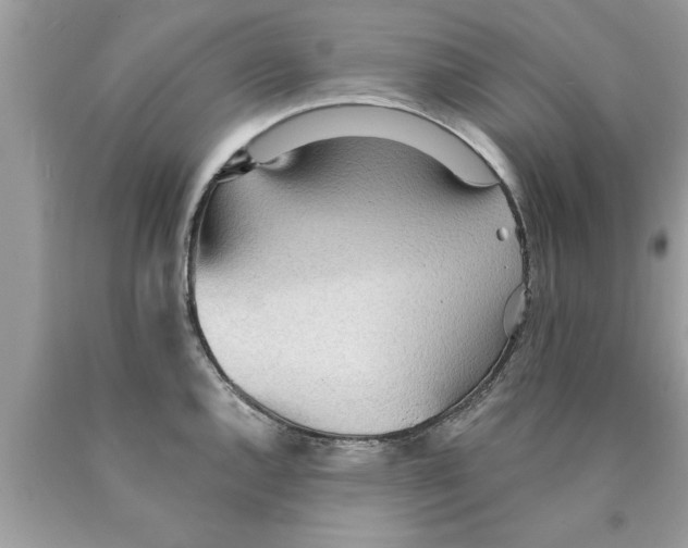 X0000089861144200707262122