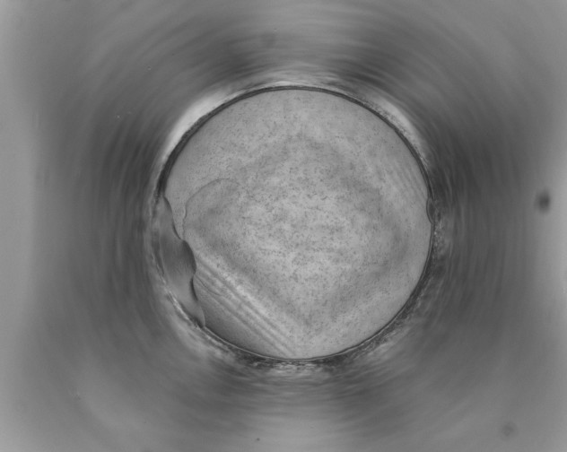 X0000089861146200707262122