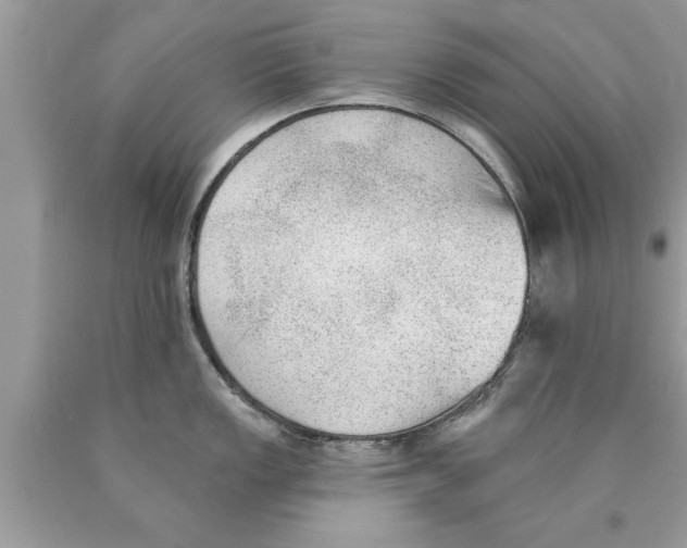 X0000089861149200707262122