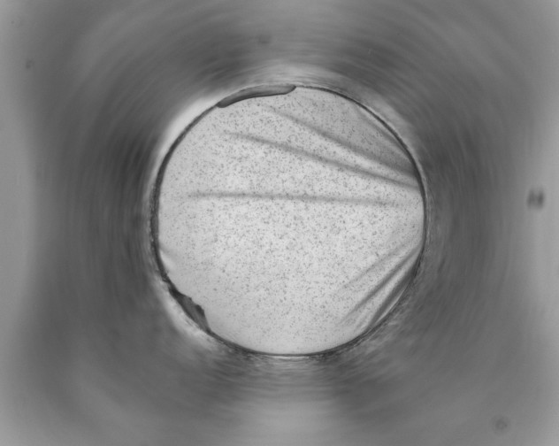 X0000089861152200707262122