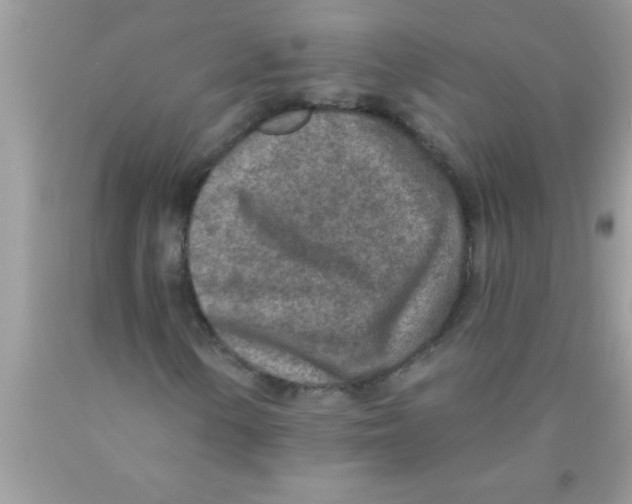 X0000089861154200707262122