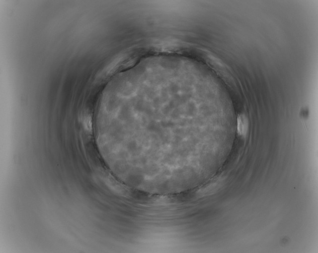 X0000089861155200707262122