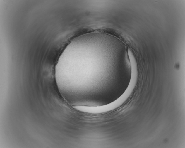 X0000089861156200707262122
