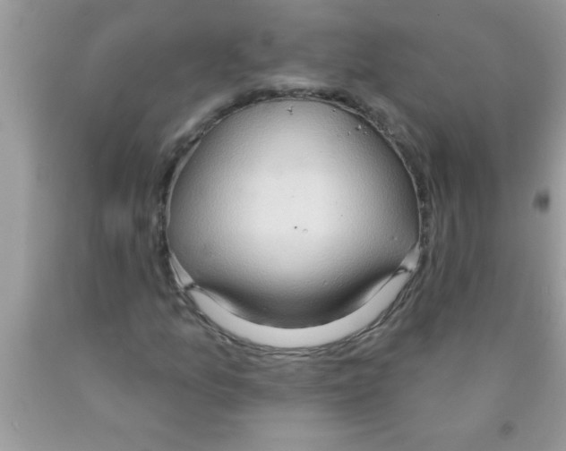X0000089861157200707262122