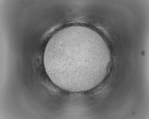 X0000089861159200707262122