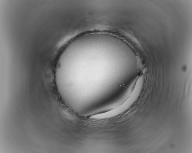 X0000089861160200707262122