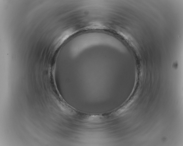 X0000089861161200707262122