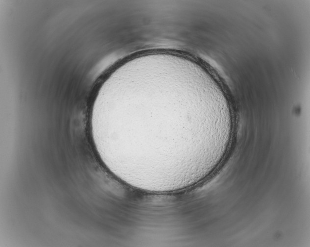 X0000089861163200707262122