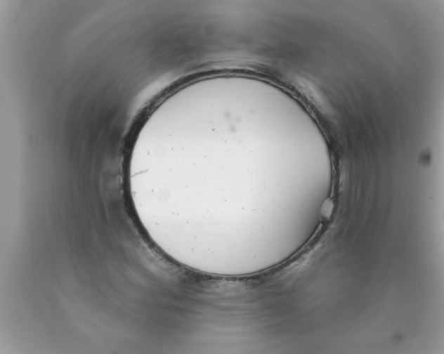 X0000089861164200707262122