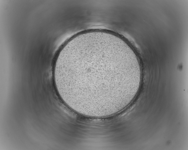 X0000089861167200707262122