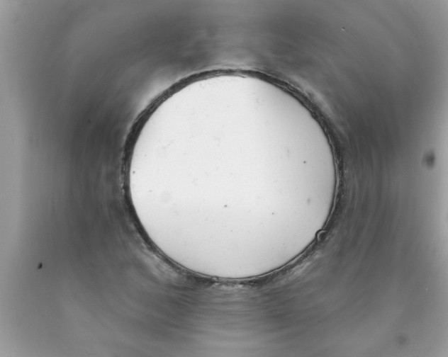 X0000089861168200707262122