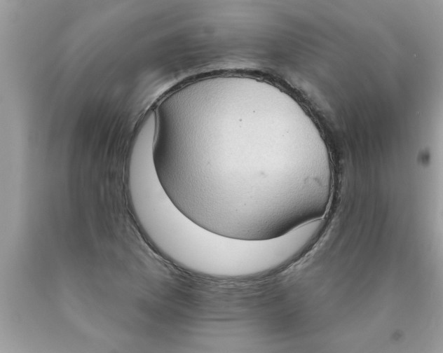 X0000089861169200707262122