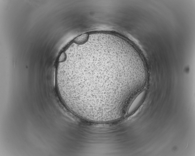 X0000089861171200707262122