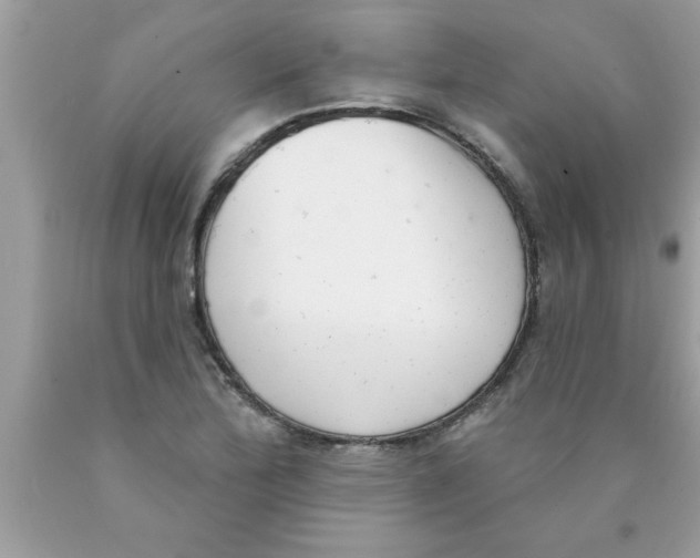 X0000089861172200707262122