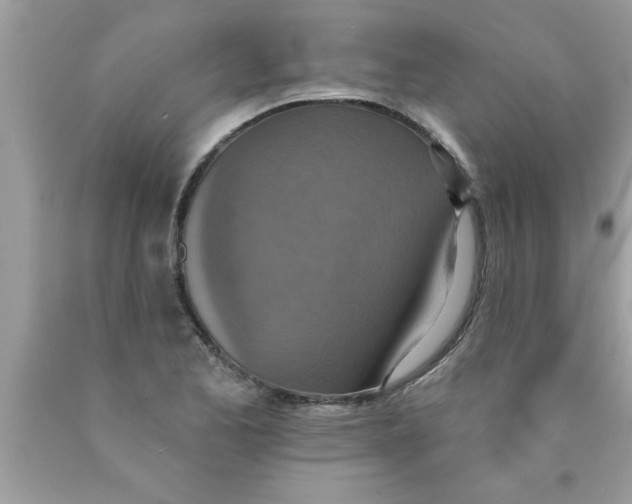 X0000089861173200707262122