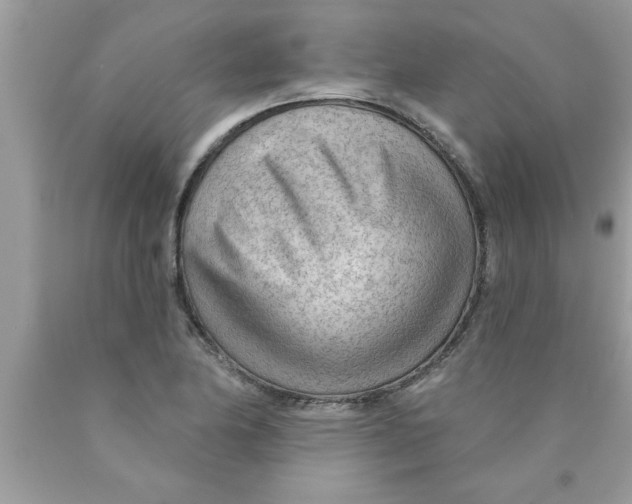X0000089861174200707262122