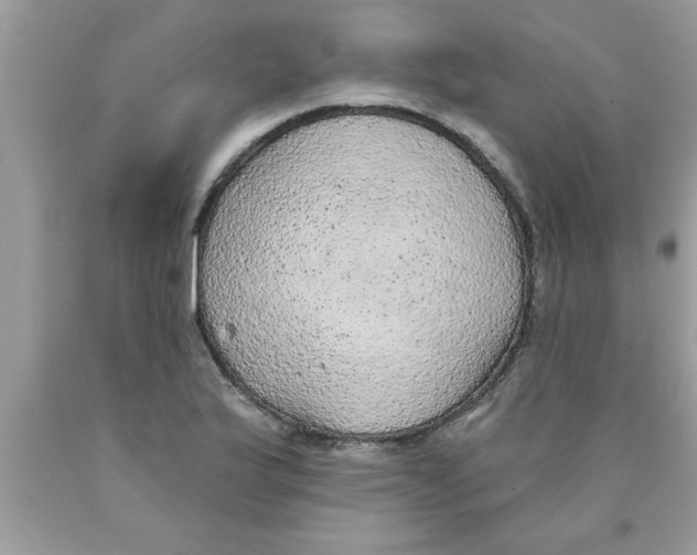X0000089861175200707262122