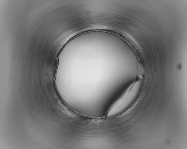 X0000089861177200707262121