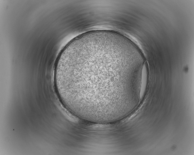 X0000089861179200707262121