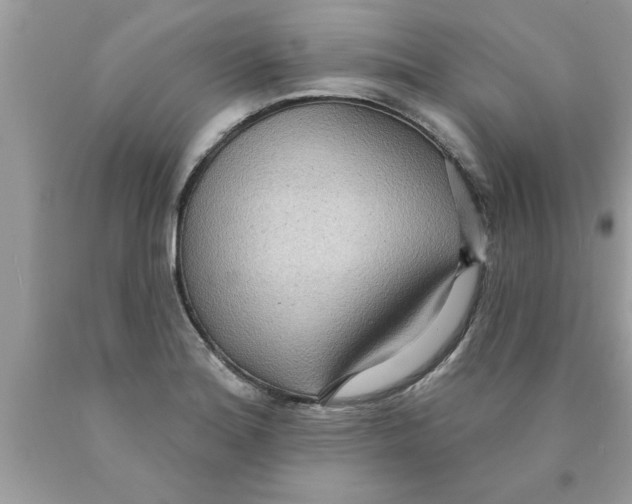 X0000089861180200707262121