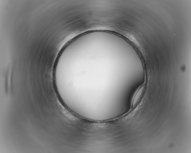 X0000089861181200707262121