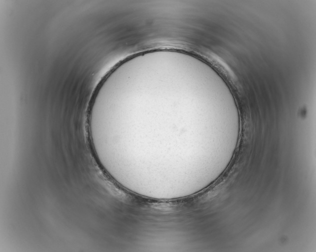 X0000089861182200707262121