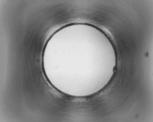X0000089861183200707262121