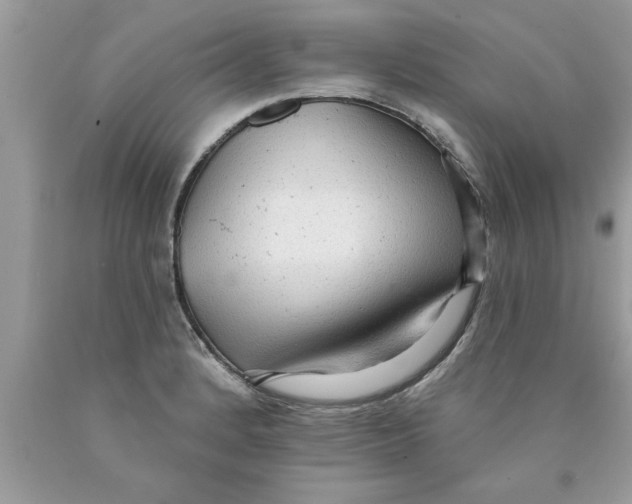 X0000089861184200707262121