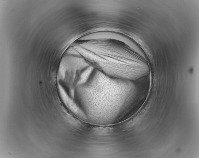 X0000089861185200707262121