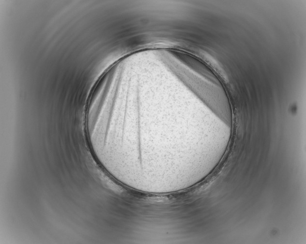 X0000089861186200707262121