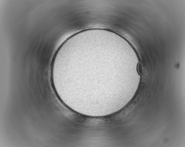 X0000089861187200707262121