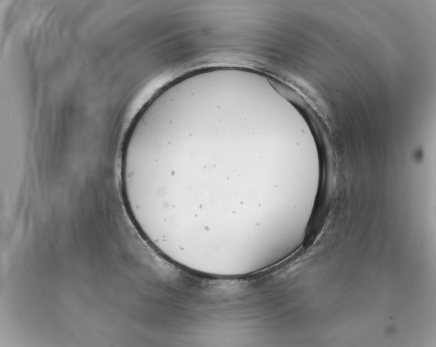 X0000089861188200707262121