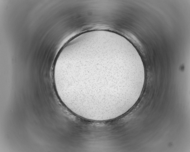 X0000089861190200707262121