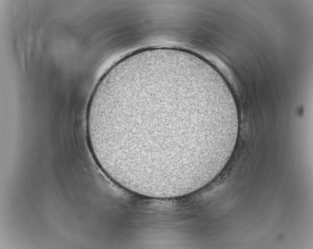 X0000089861191200707262121
