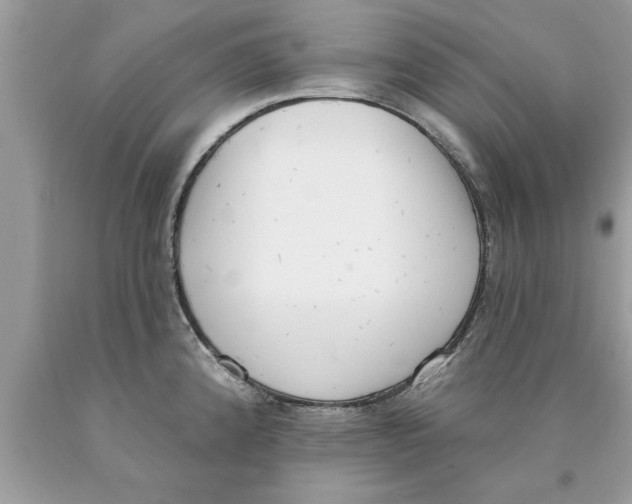 X0000089861192200707262121