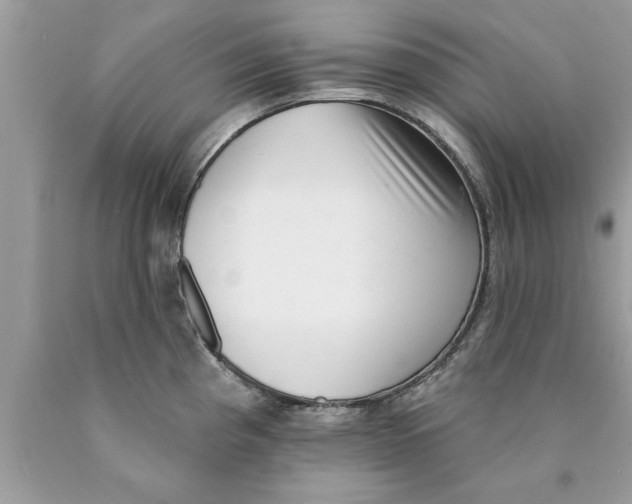 X0000089861193200707262121