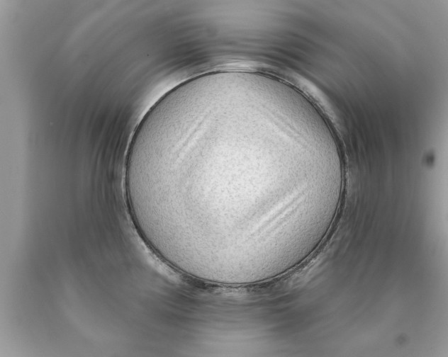 X0000089861194200707262121