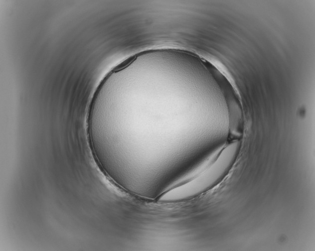 X0000089861197200707262121