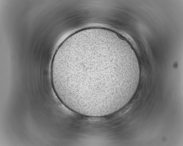 X0000089861199200707262121