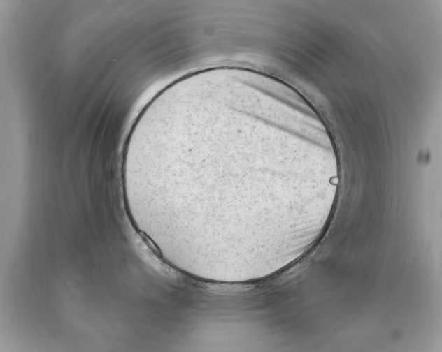 X0000089861200200707262121