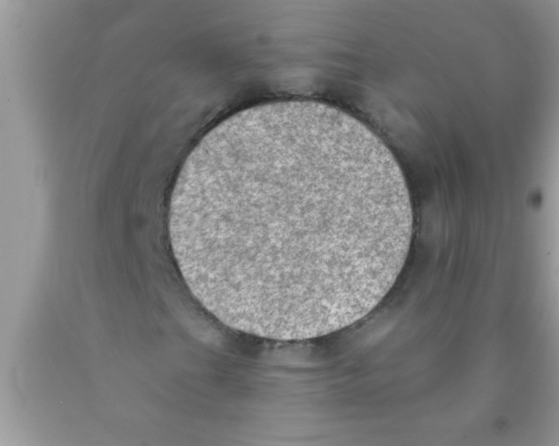 X0000089861201200707262121
