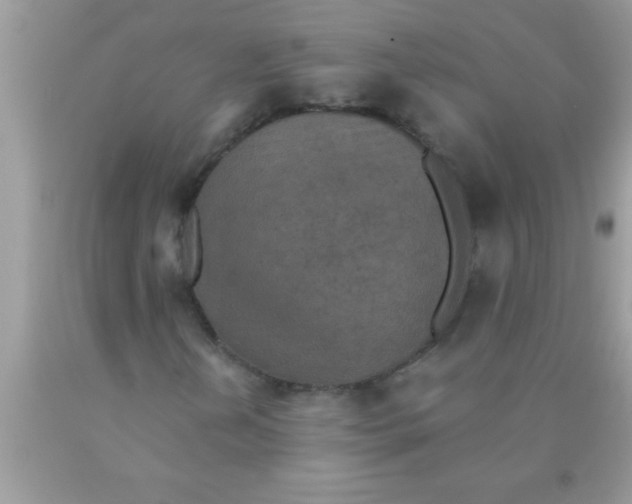 X0000089861202200707262121