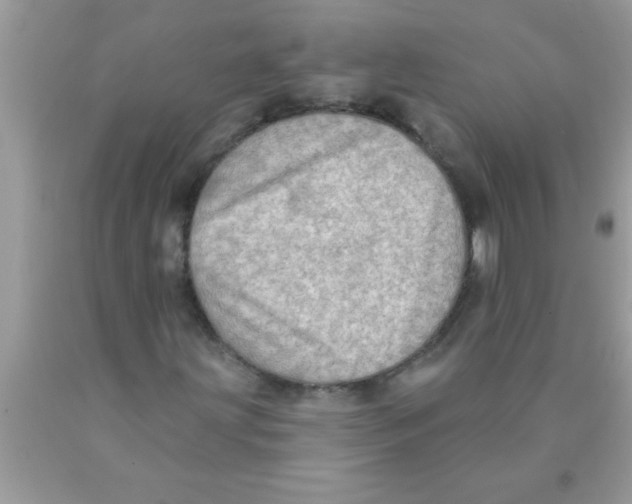 X0000089861203200707262121