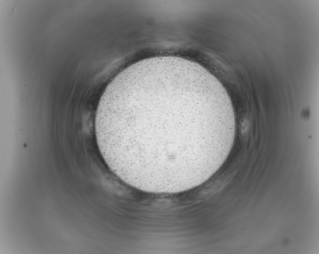 X0000089861204200707262121