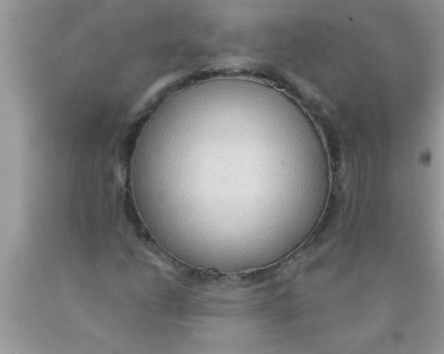 X0000089861206200707262121