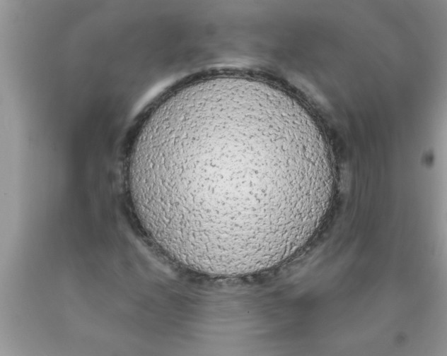 X0000089861208200707262121