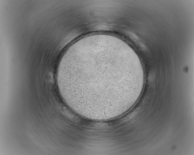 X0000089861209200707262121